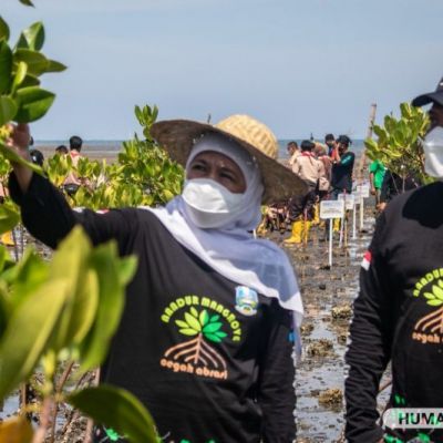 Tanam Mangrove Bersama Pemprov Jatim, Rektor Harapkan Kampus Terlibat Aktif Lestarikan Alam
