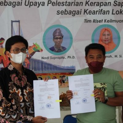 Dosen UNESA Adakan Riset Pelestarian Tradisi Karapan Sapi Madura