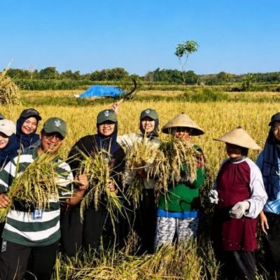 Diapresiasi Pemdes, Mahasiswa Unesa Belajar dan Berkontribusi Dorong Pemberdayaan Sektor Pertanian hingga Kesehatan di Lamongan